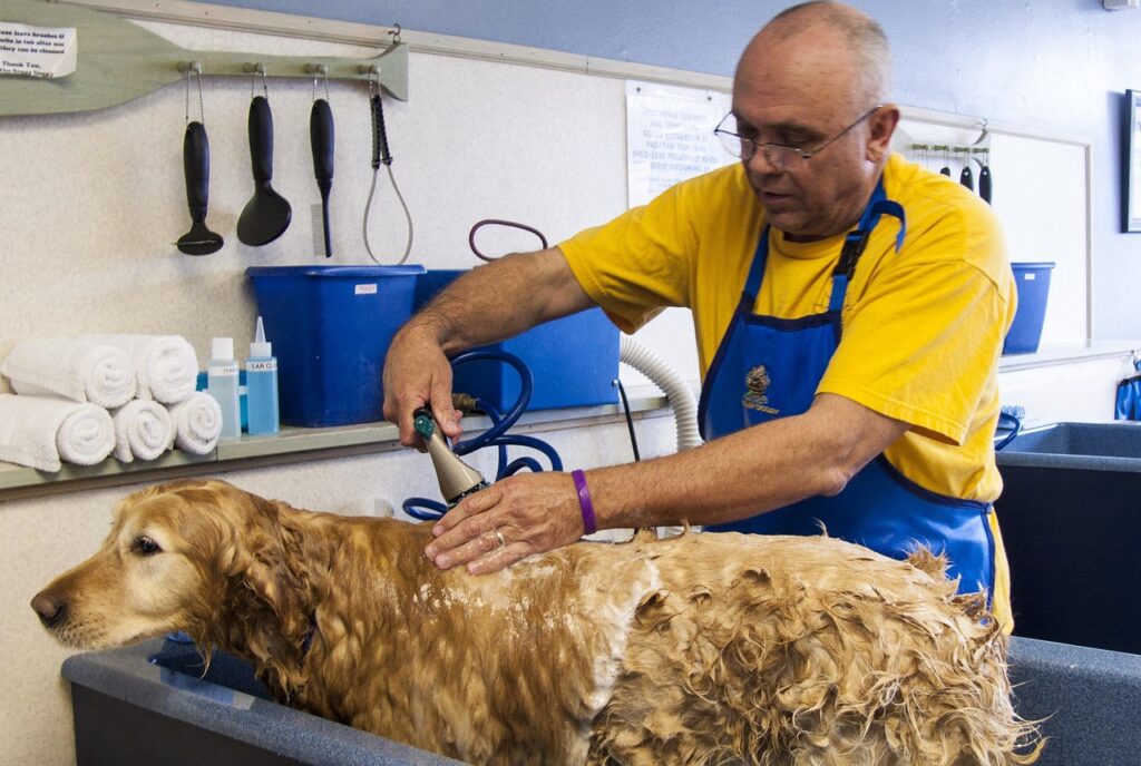 Dog groomer giving a dog a bath.