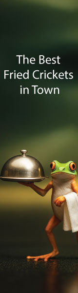 Frog Food